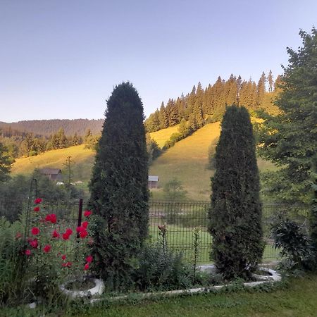 Отель Casa Ionescu Садова Экстерьер фото