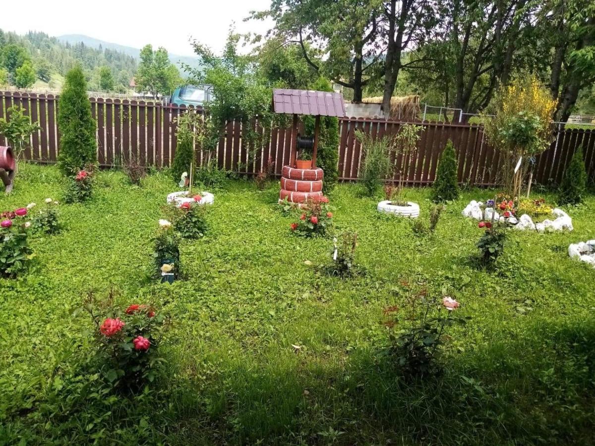 Отель Casa Ionescu Садова Экстерьер фото