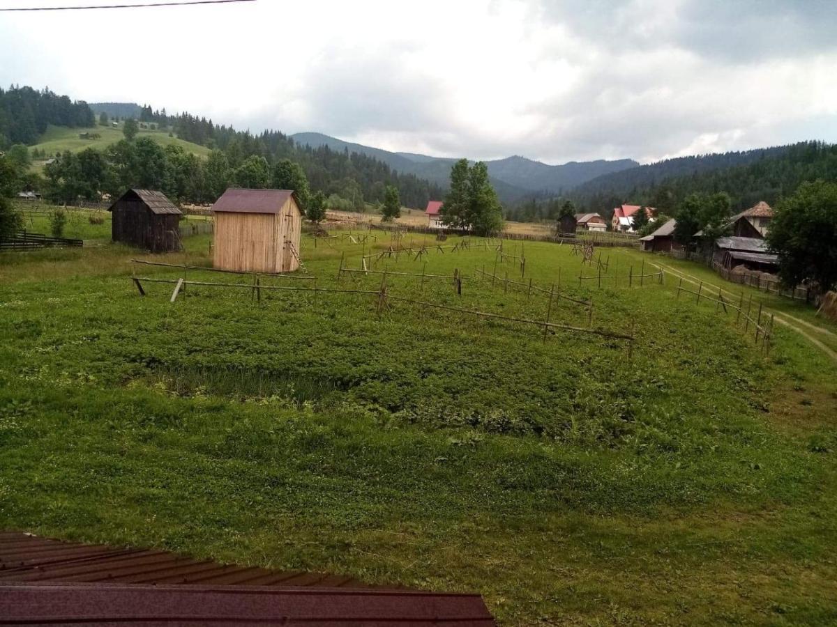 Отель Casa Ionescu Садова Экстерьер фото