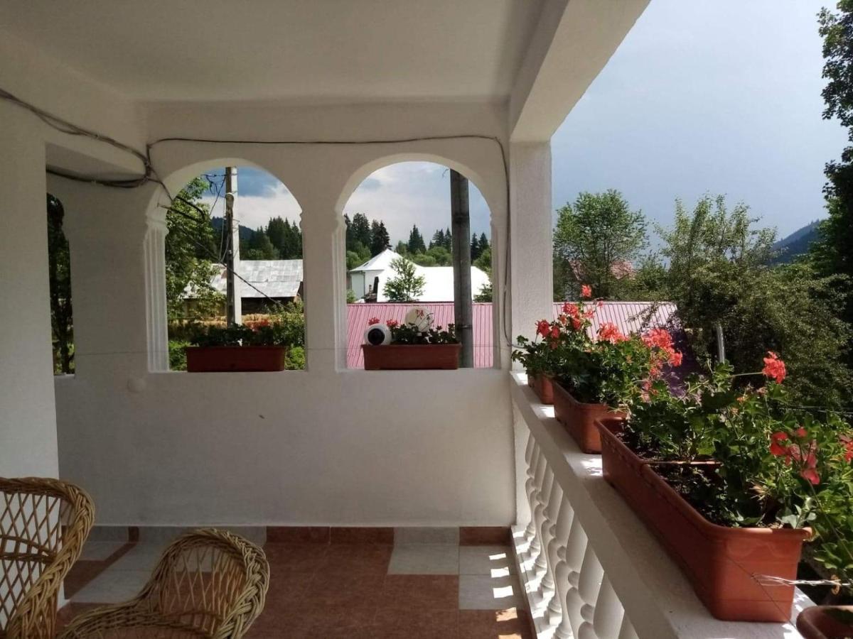 Отель Casa Ionescu Садова Экстерьер фото