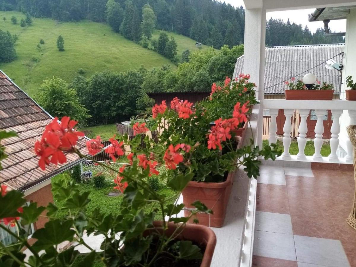 Отель Casa Ionescu Садова Экстерьер фото