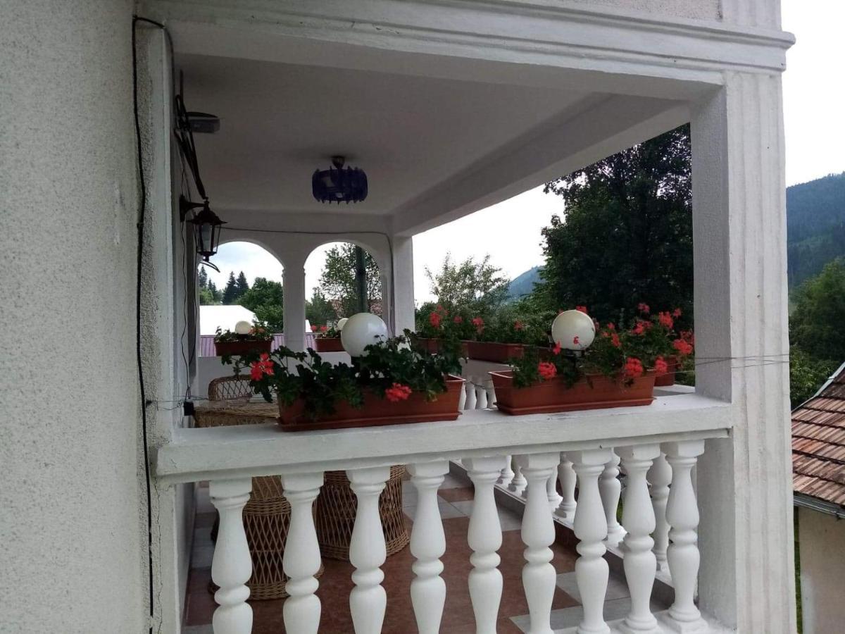Отель Casa Ionescu Садова Экстерьер фото