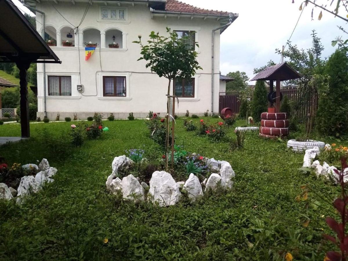 Отель Casa Ionescu Садова Экстерьер фото