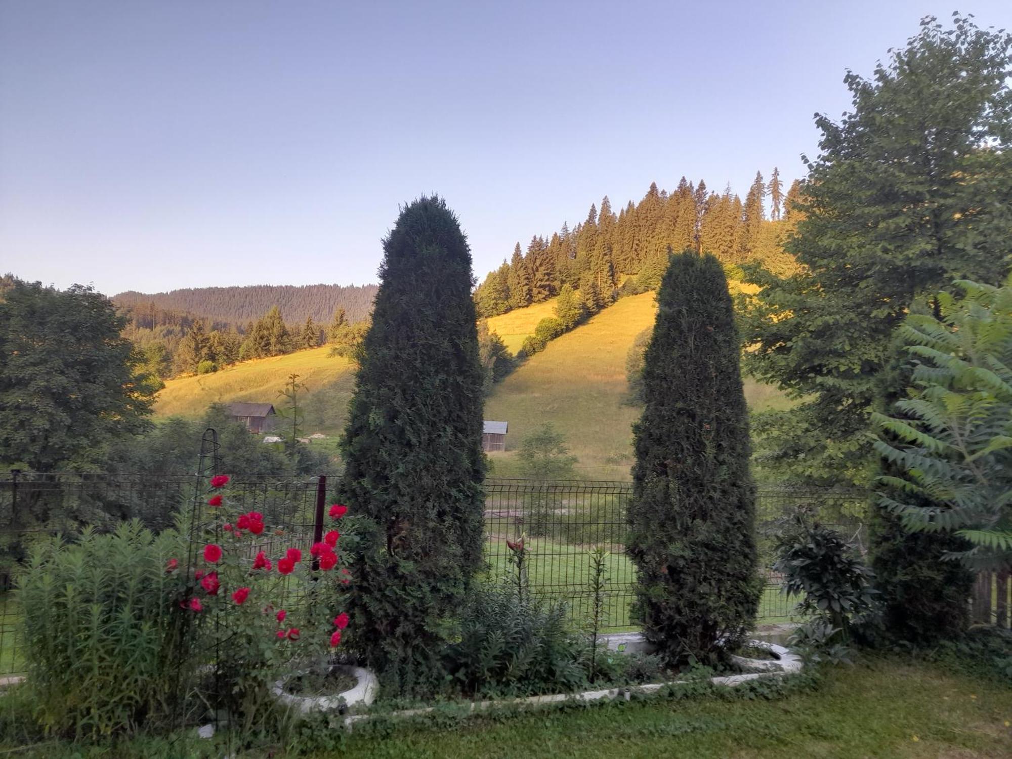 Отель Casa Ionescu Садова Экстерьер фото