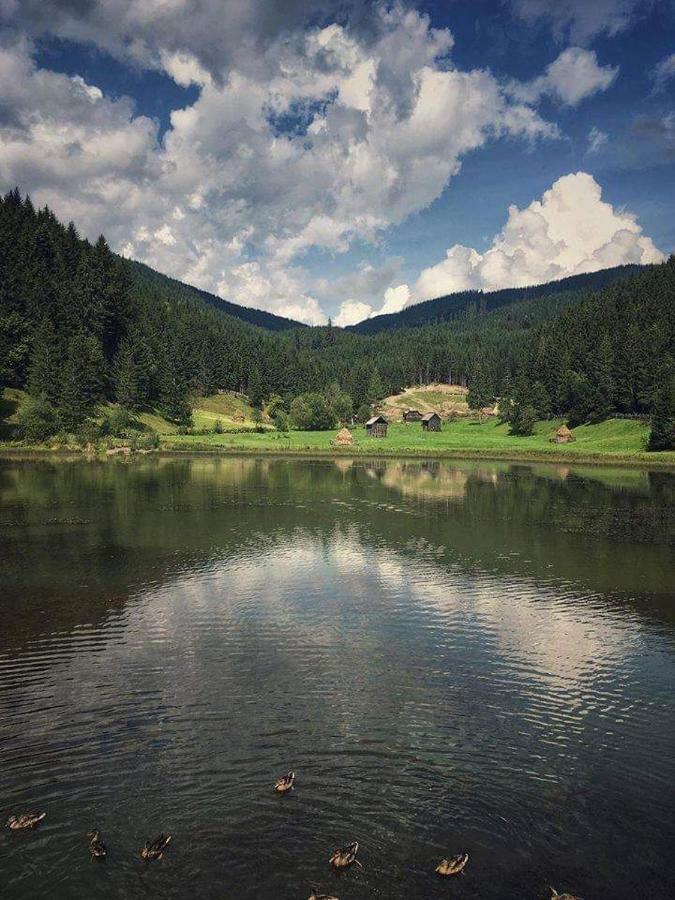 Отель Casa Ionescu Садова Экстерьер фото
